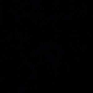 Meet your Posher, Ariana